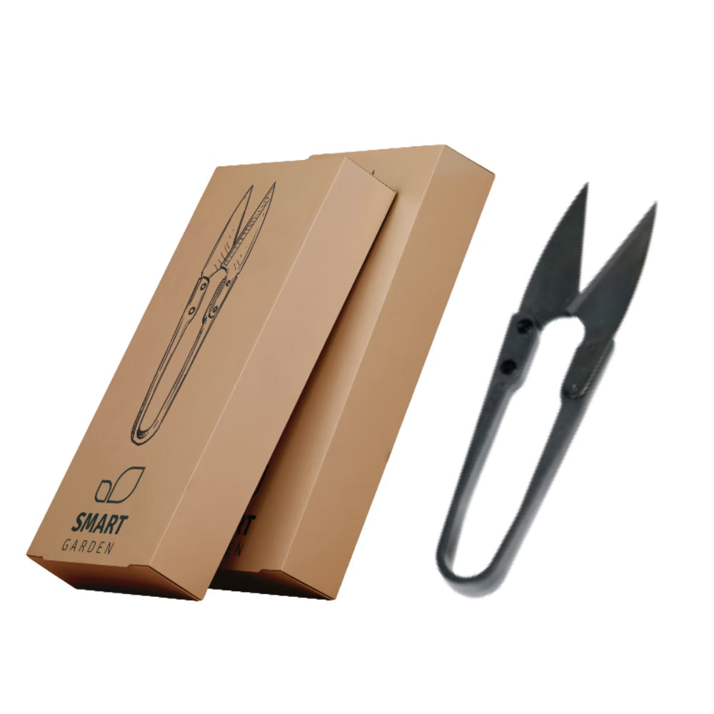 AURELIA Pro paket – Chilli