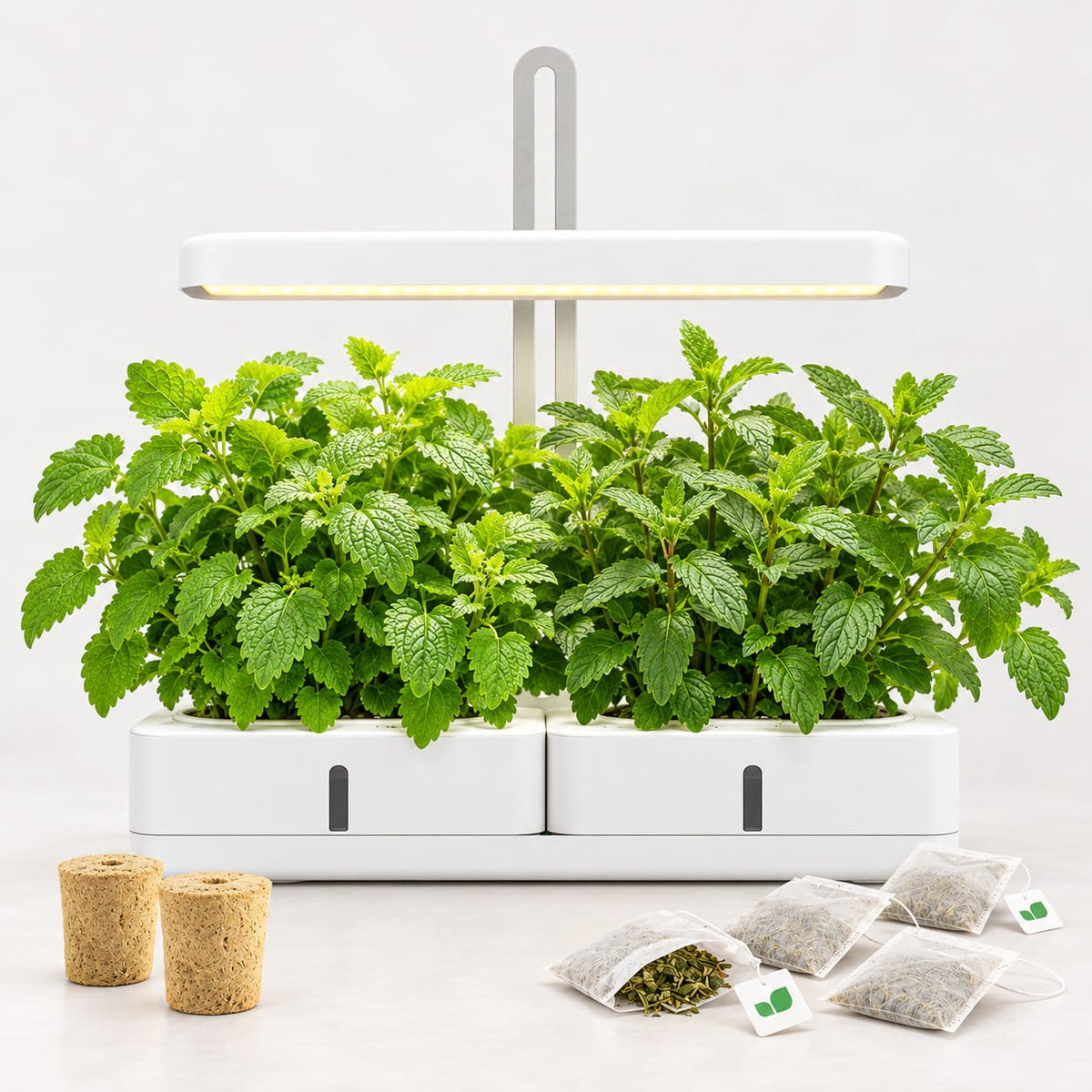 SIMPLY PRO product photo