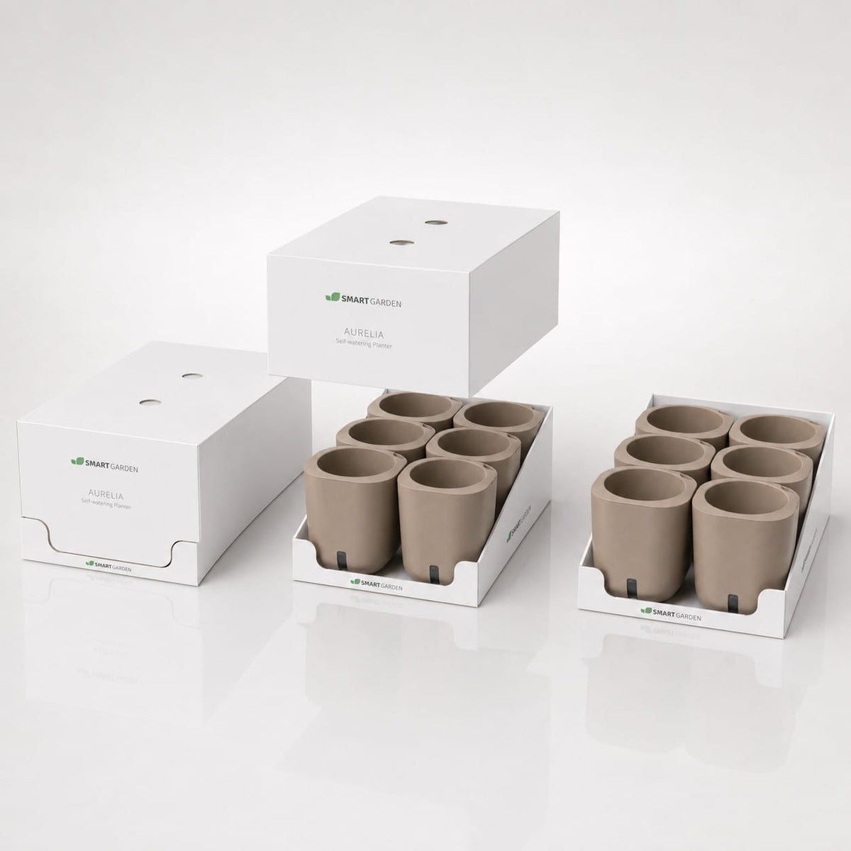 Aurelia Classic 6-pack
