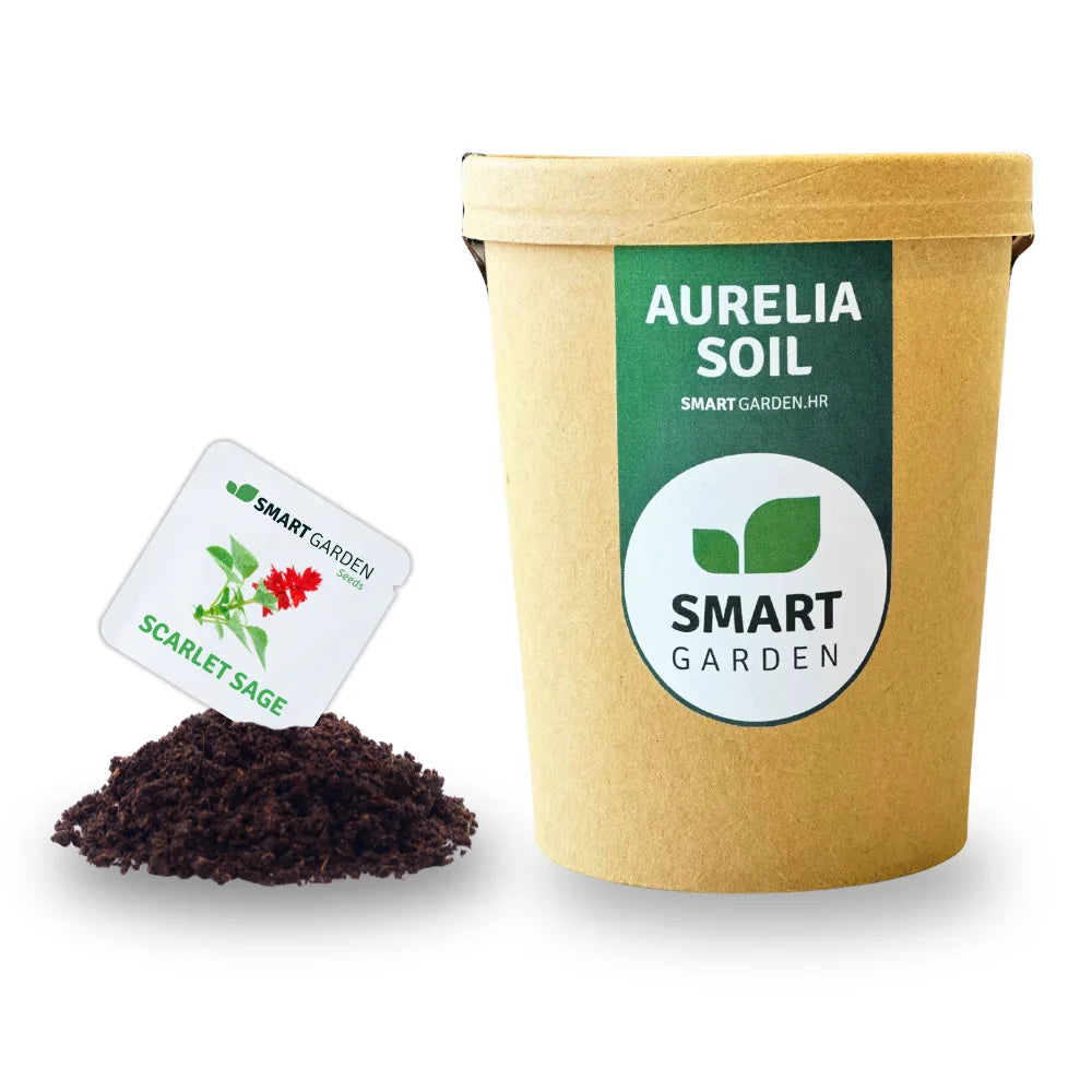 Aurelia i plamena kadulja
